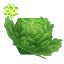 Ingredient Life Essence Lettuce