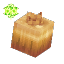 Ingredient Life Essence Onion