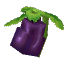 Plant Crop Aubergine Item