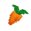 Plant Crop Carrot Item