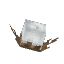 Plant Crop Cotton Item