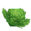 Plant Crop Lettuce Item