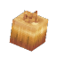 Plant Crop Onion Item
