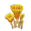 Stormcap Mushroom