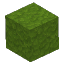 Green Moss Block