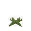 Short Dark Green Moss