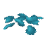 Cyan Petals
