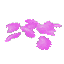 Pink Petals
