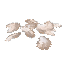 White Petals