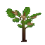 Apple Sapling