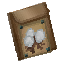 Cotton Seed Bag