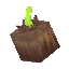 Onion Bulb (Eternal)