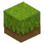 Summer Grass