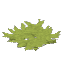 Grass Trap