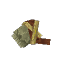 Bark Scraper