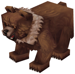 Bear Grizzly