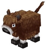 Bison Calf