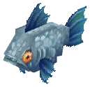 Bluegill