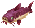 Catfish