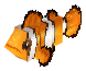 Clownfish