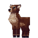 Deer Doe