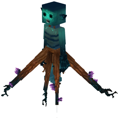 Hedera