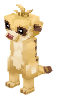 Meerkat