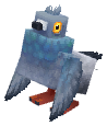 Pigeon