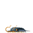 Trilobite Black