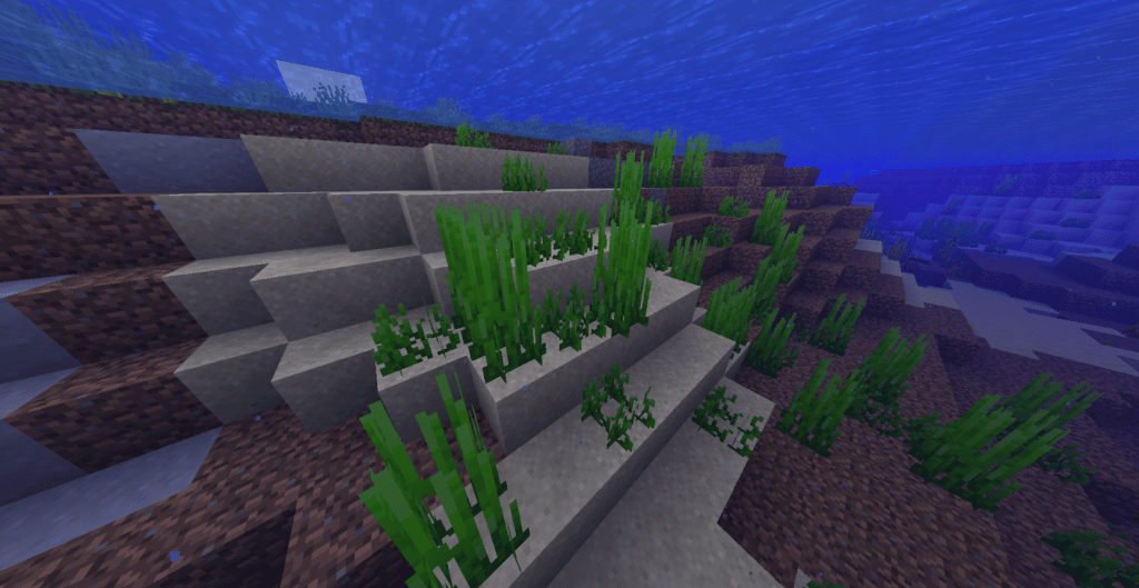 How To Get Seagrass In Minecraft