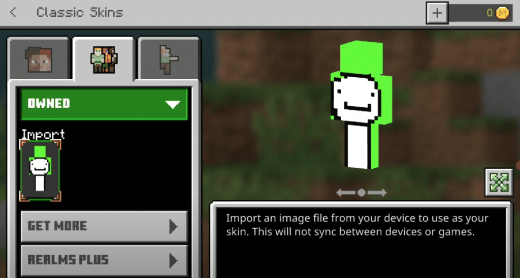 How To Get The Dream Skin In Minecraft?