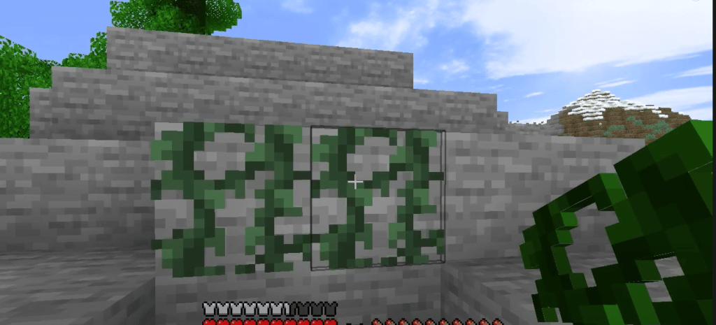 How To Get Vines In Minecraft?