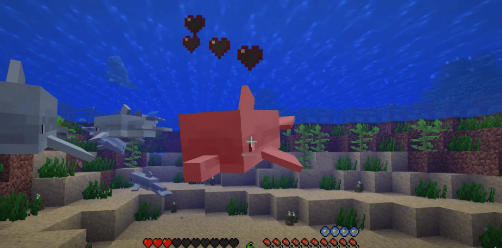 How To Tame A Dolphin In Minecraft?