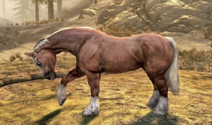 How to Call Horse in Skyrim?