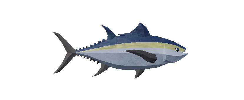 Blackfin Tuna