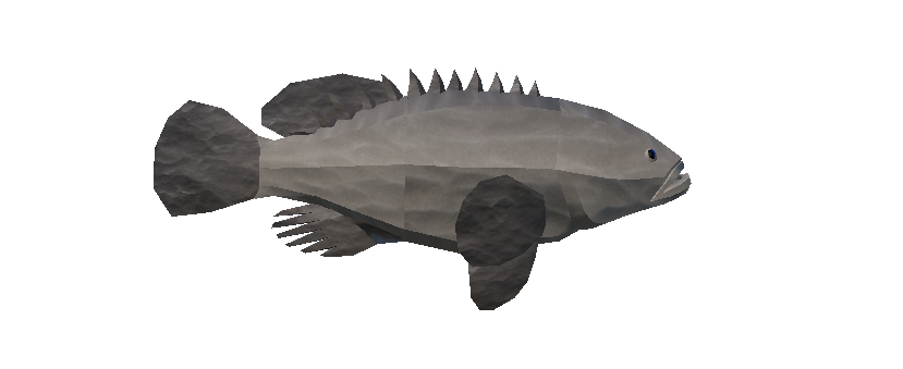 Grouper