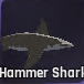 Hammer Shark