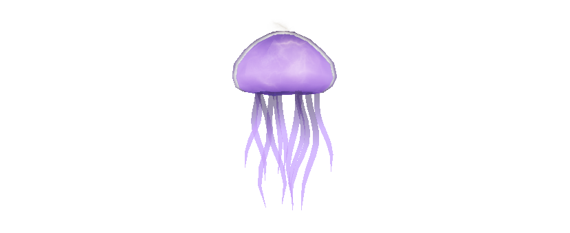 Jellyfish
