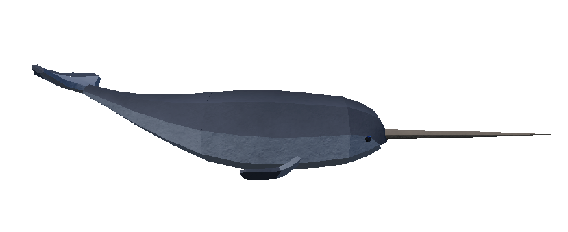 Narwhal