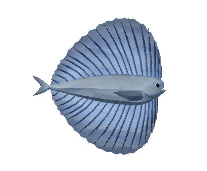 Pacific Fanfish