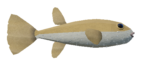 Pufferfish