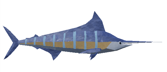 Sailfish