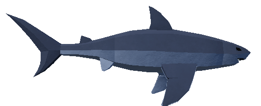 Shark