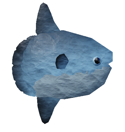 Sunfish