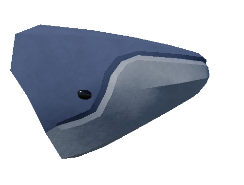 Whale Head