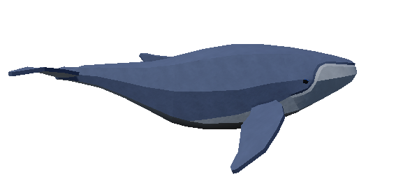Whale