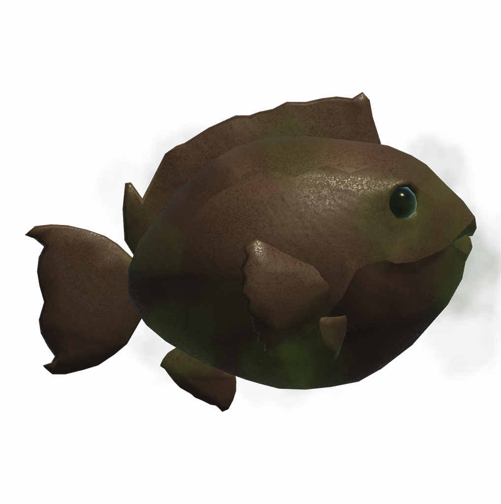 Poop