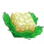 Cauliflower