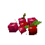 Red Berries