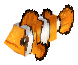 Clownfish